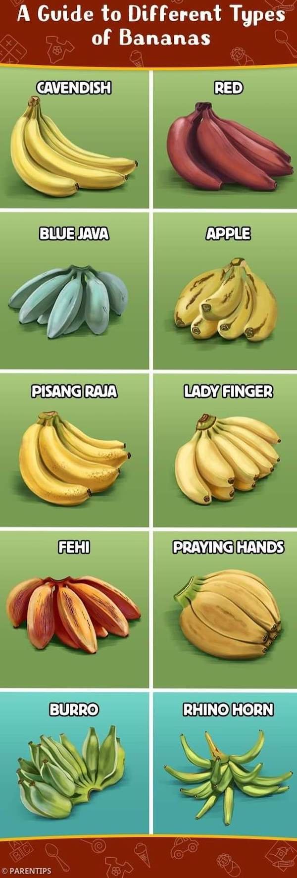 Interesting Data (24 pics)