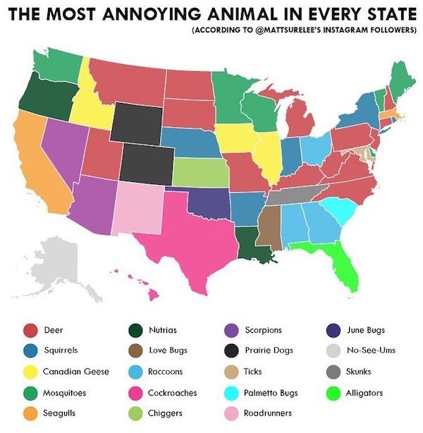 Interesting Data (24 pics)