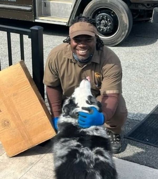 Funny Dogs And Delivery Drivers (25 pics)
