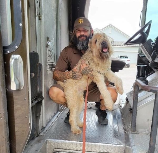 Funny Dogs And Delivery Drivers (25 pics)