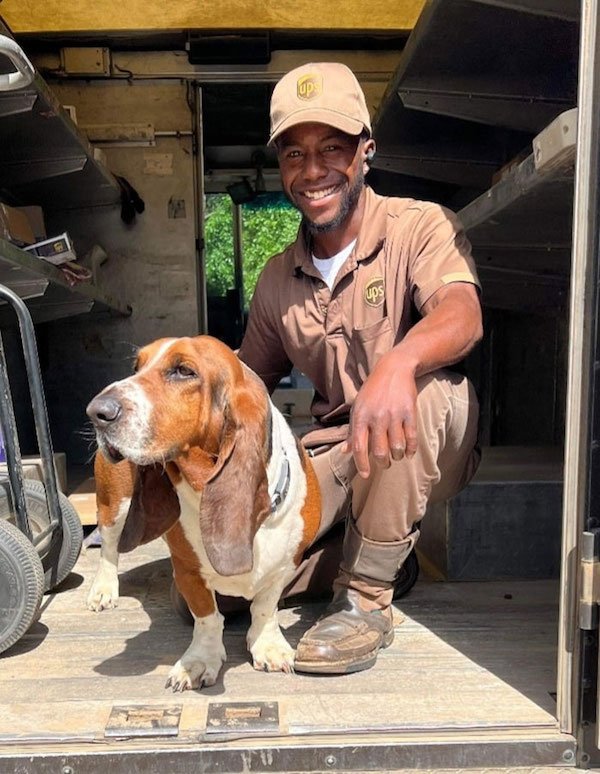 Funny Dogs And Delivery Drivers (25 pics)