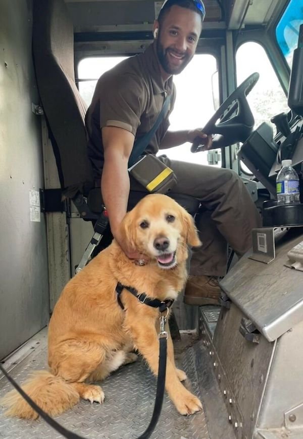 Funny Dogs And Delivery Drivers (25 pics)