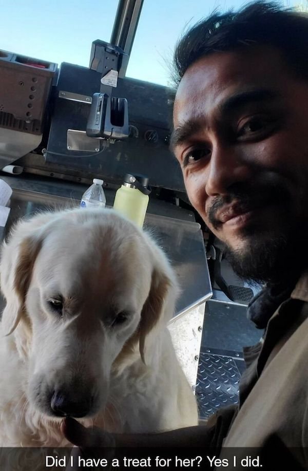 Funny Dogs And Delivery Drivers (25 pics)