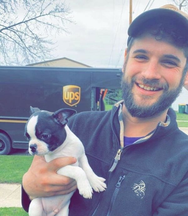 Funny Dogs And Delivery Drivers (25 pics)