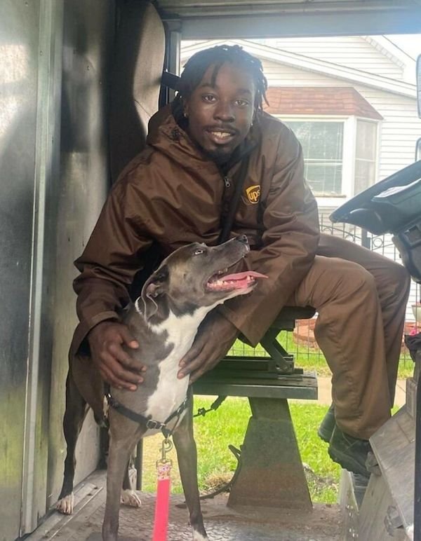 Funny Dogs And Delivery Drivers (25 pics)
