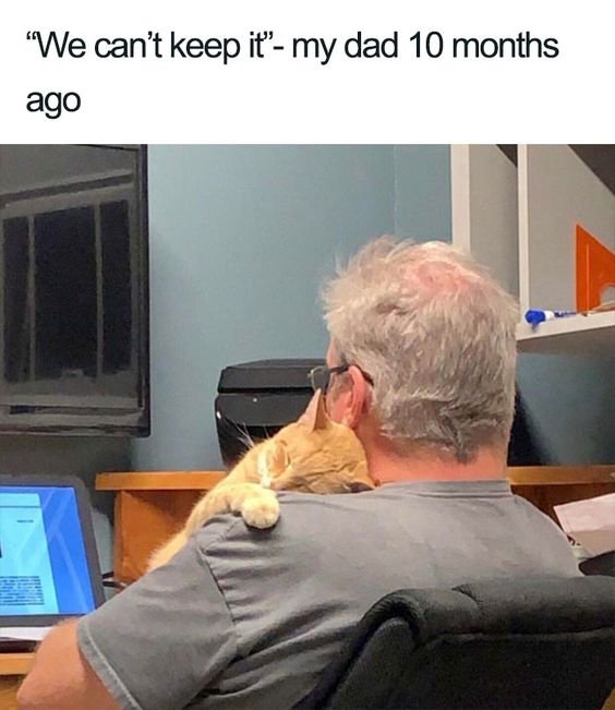 Funny Memes (21 pics)