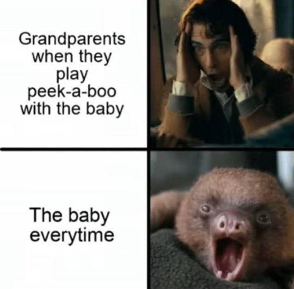 Funny Memes (21 pics)