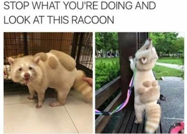 Funny Memes (21 pics)