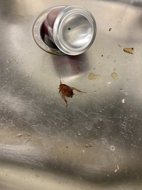 Bad Days Happen (20 pics)