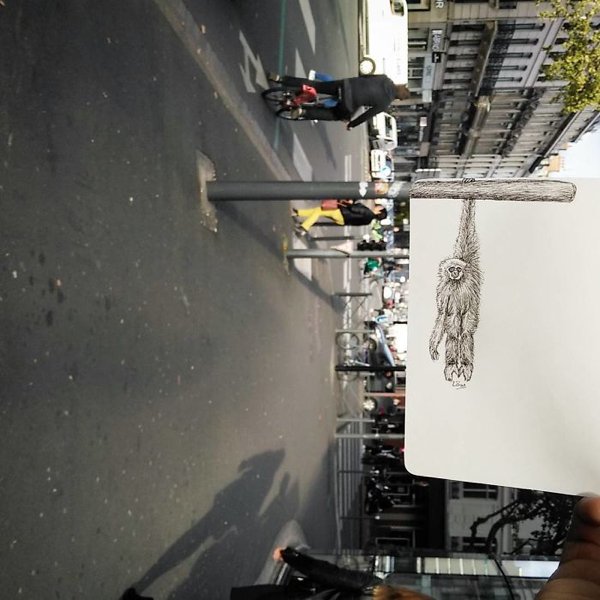 Unusual Creativity (30 pics)