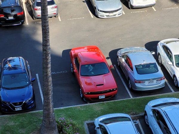 Terrible Parking (30 pics)