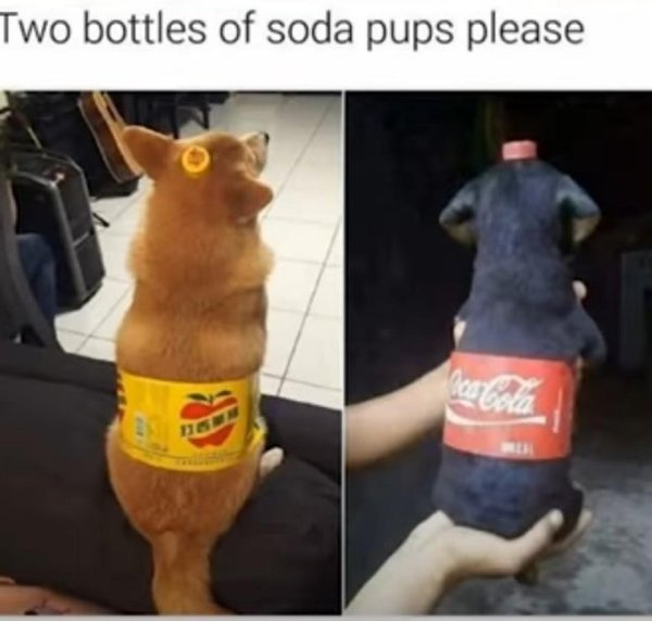 Funny Memes (21 pics)