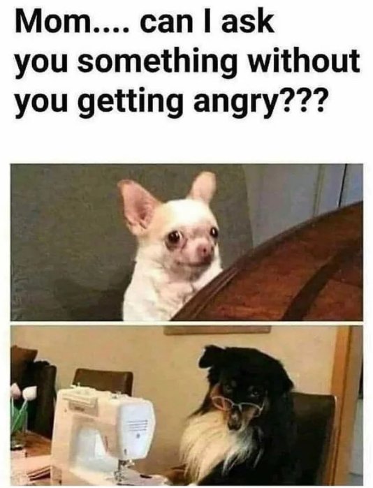 Funny Memes (21 pics)