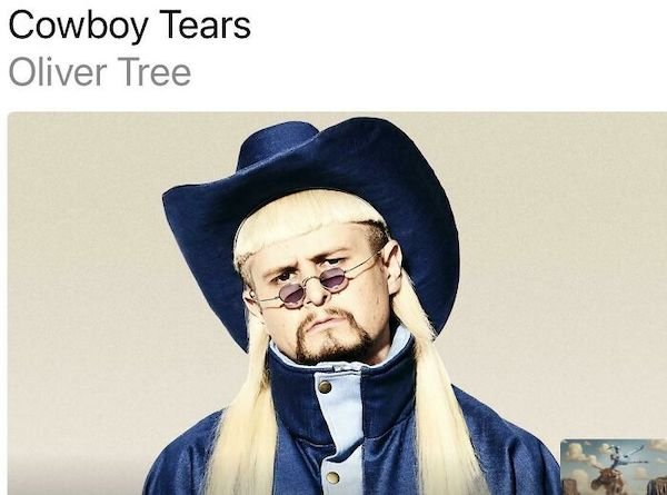 Awful Haircuts (31 pics)