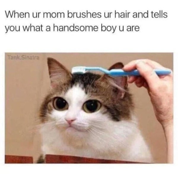 Funny Memes (21 pics)