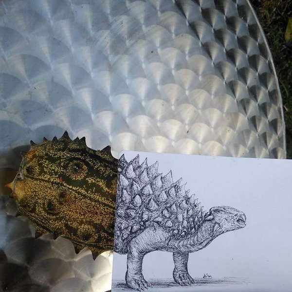 Unusual Creativity (30 pics)