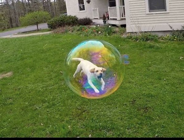 Look Twice (27 pics)