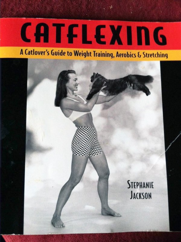 Unusual And Funny Books (18 pics)