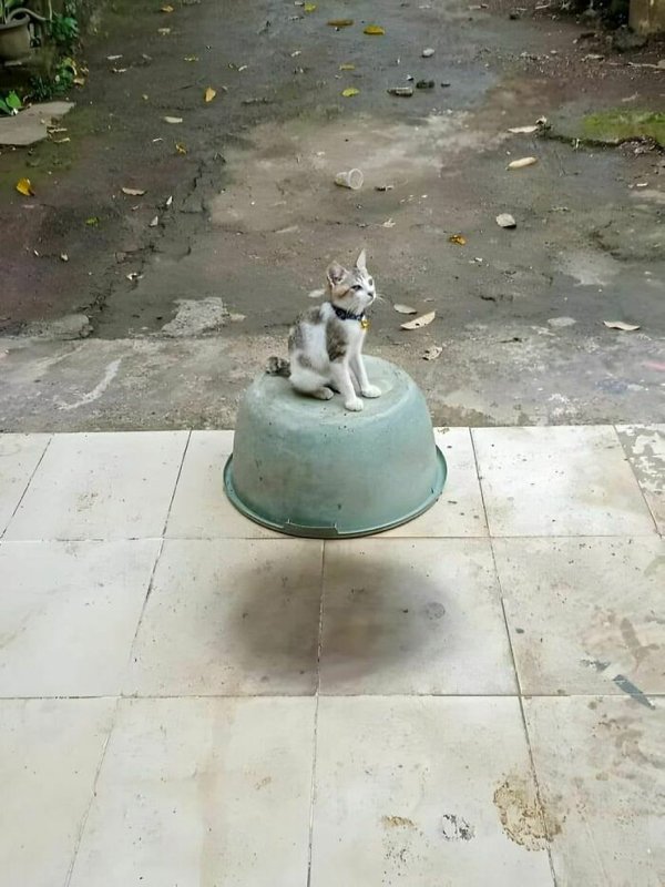 Look Twice (27 pics)