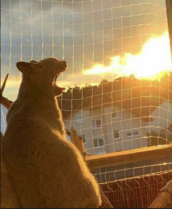 Look Twice (27 pics)