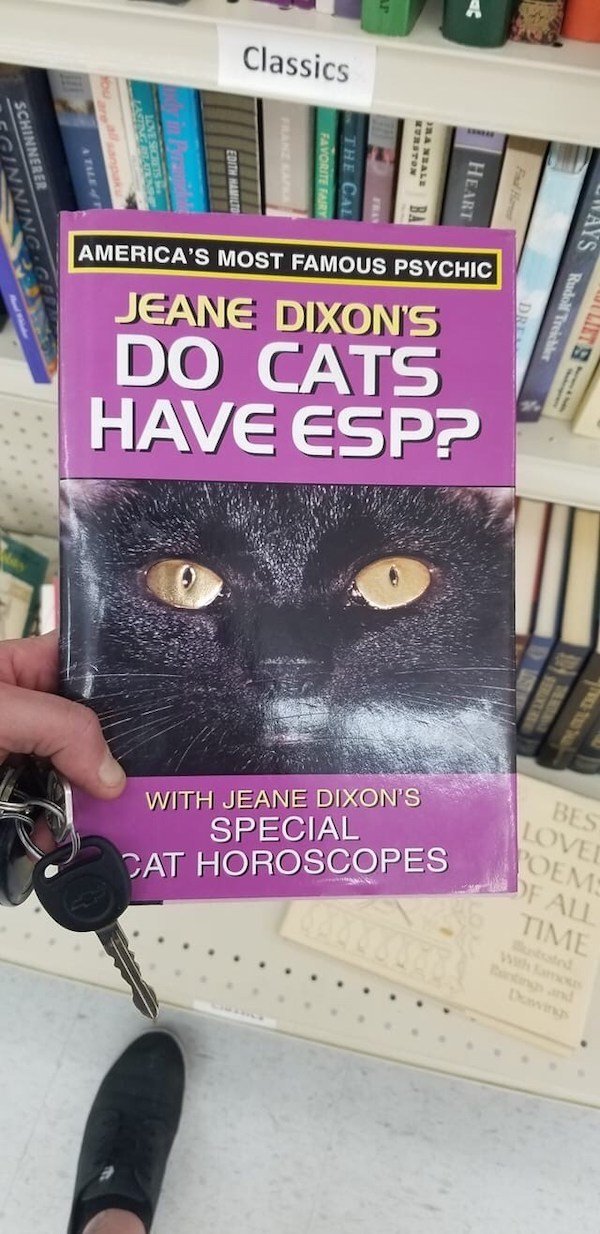 Unusual And Funny Books (18 pics)