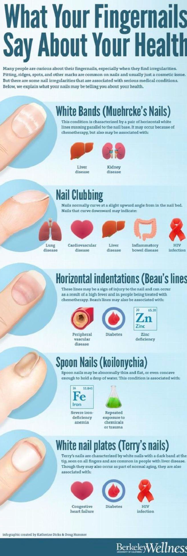 Interesting Data (27 pics)