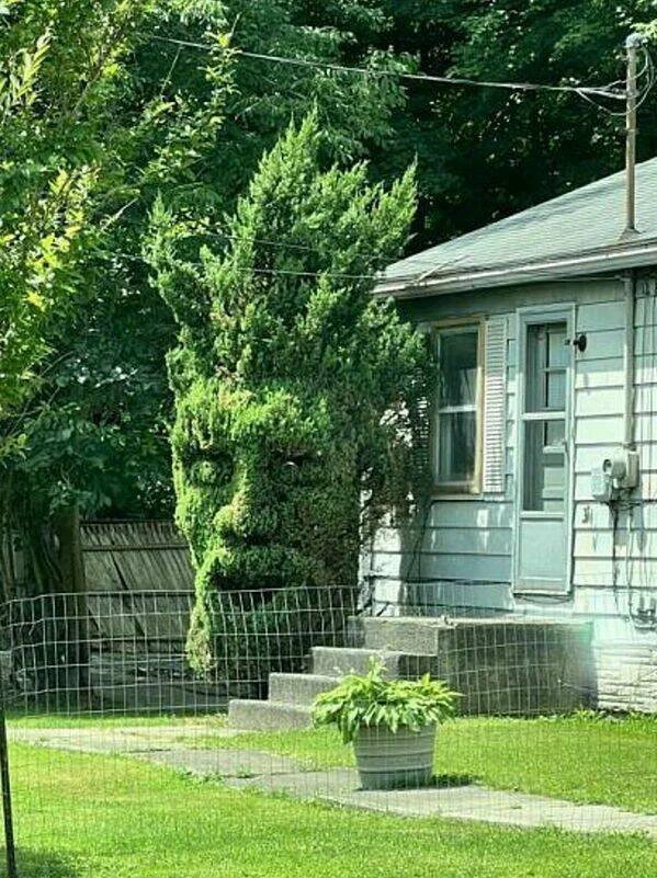 Weird Finds And Designs (37 pics)