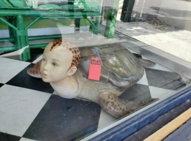 Weird Finds And Designs (37 pics)