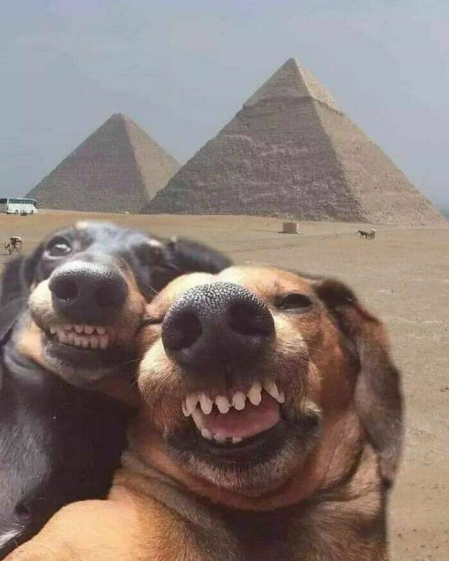 Funny Finds And Situations (32 pics)