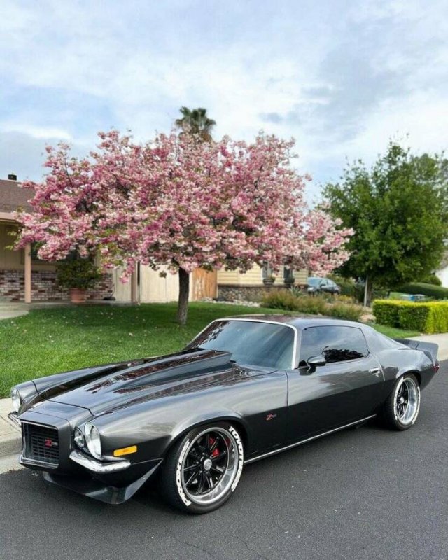 Amazing Cars (19 pics)
