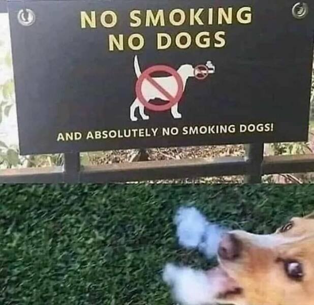 Funny Finds And Situations (32 pics)
