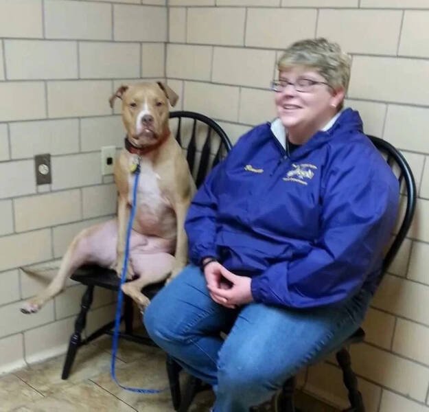 Funny Animals (17 pics)