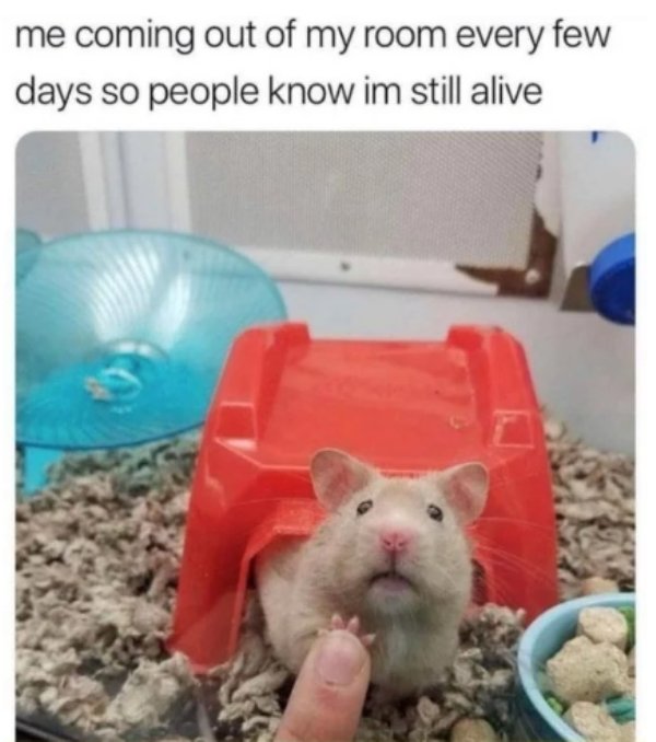Memes For Introverts (27 pics)