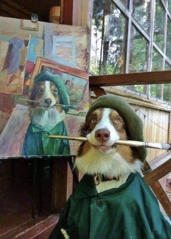 Funny Animals (38 pics)