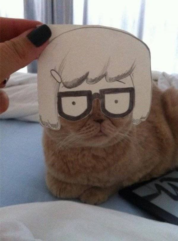 Funny Animals (38 pics)