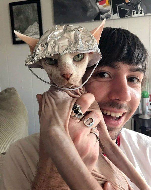 Funny Animals (38 pics)