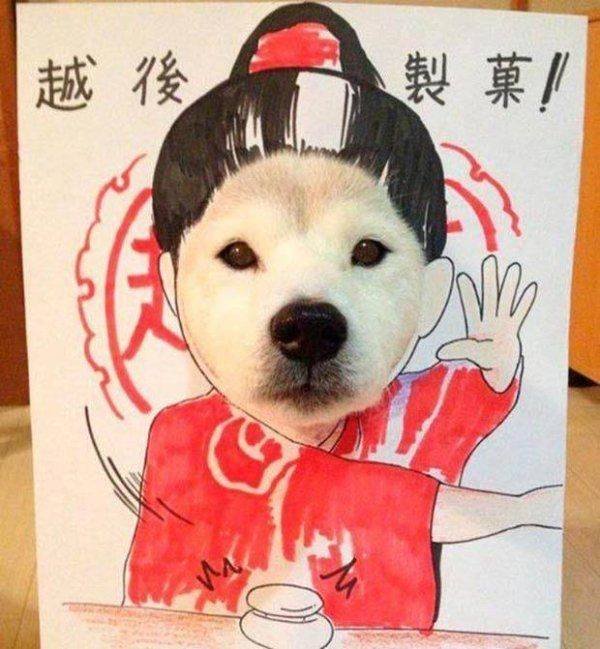 Funny Animals (38 pics)