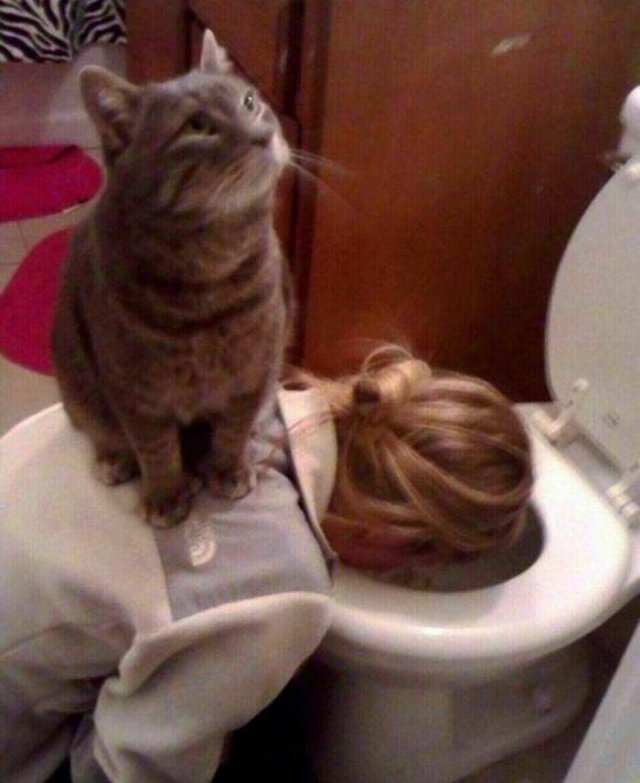 Cute Animals (48 pics)