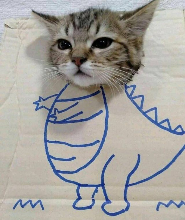 Cute Animals (48 pics)