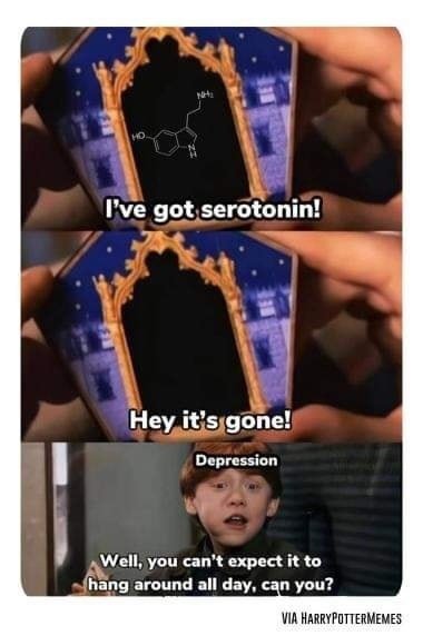 Memes About ''Harry Potter'' Movies (19 pics)