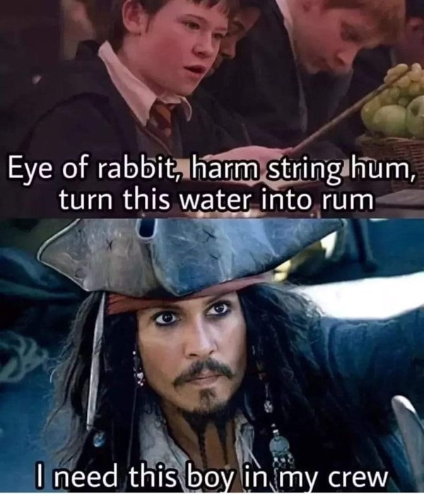Memes About ''Harry Potter'' Movies (19 pics)