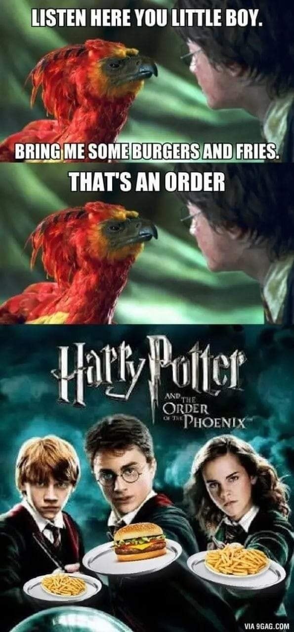 Memes About ''Harry Potter'' Movies (19 pics)