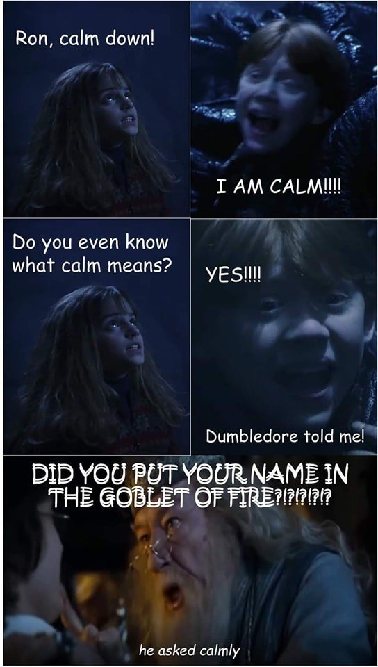 Memes About ''Harry Potter'' Movies (19 pics)