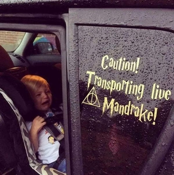 Memes About ''Harry Potter'' Movies (19 pics)