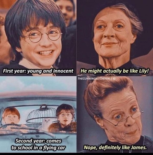 Memes About ''Harry Potter'' Movies (19 pics)
