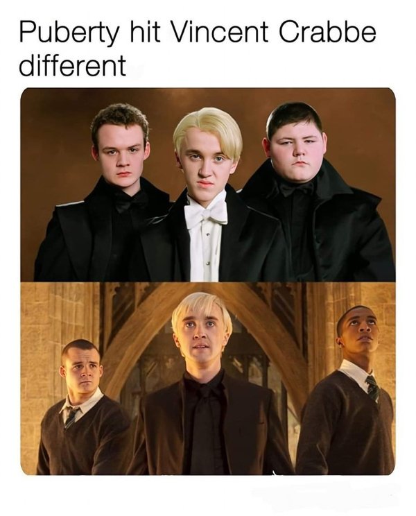 Memes About ''Harry Potter'' Movies (19 pics)