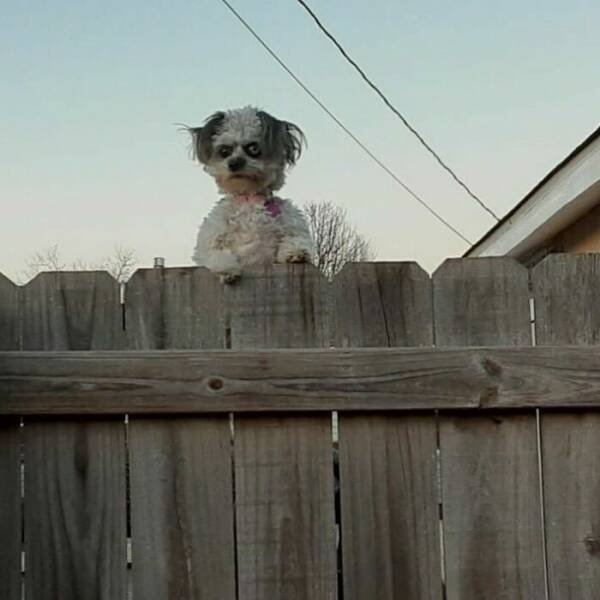 Odd Situations (48 pics)