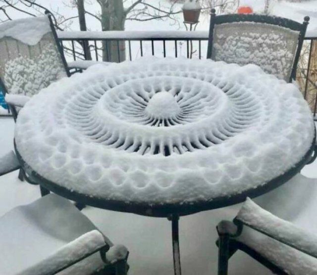 Photos For Perfectionists (24 pics)