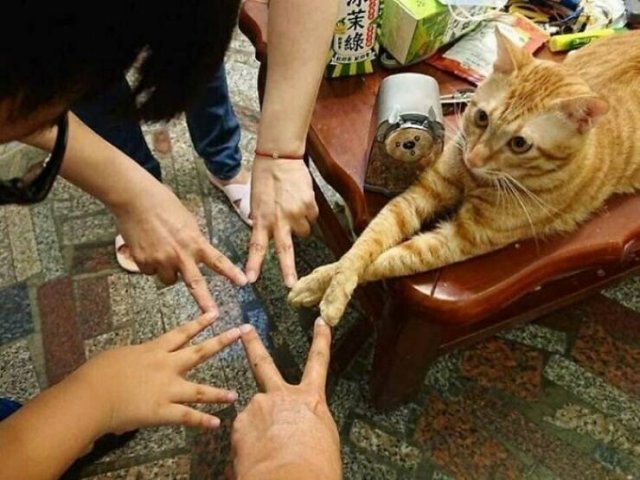 Odd Situations (48 pics)