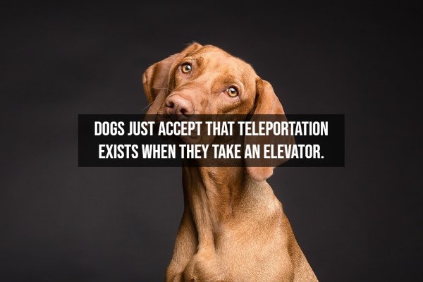 Interesting Thoughts (14 pics)